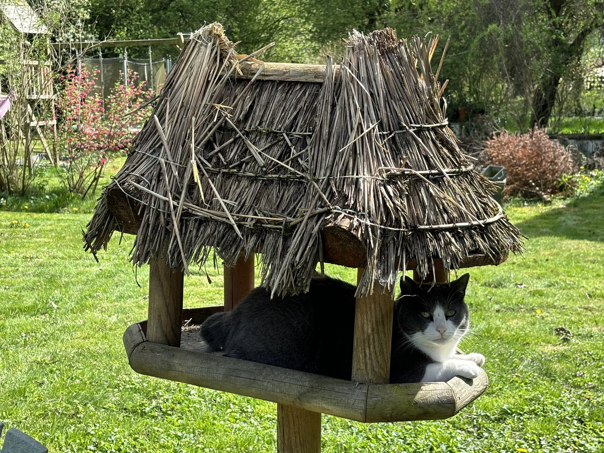 Luc Bertrand (@bertrandluc_ky) on Twitter photo My cat in the bird feeder, it’s a bit like using western blot for DNA detection, is’n it ? Do you have any other scientific misuse ? <a href="/RA_GRRC/">Réseau Avenir GRRC</a> <a href="/ISHR_ES/">ISHR European Section</a> <a href="/JeremyFauconni1/">Jeremy Fauconnier</a> <a href="/escardio/">European Society of Cardiology</a> <a href="/ChristophMaack/">Christoph Maack</a> My cat in the bird feeder, it’s a bit like using western blot for DNA detection, is’n it ? Do you have any other scientific misuse ? <a href="/RA_GRRC/">Réseau Avenir GRRC</a> <a href="/ISHR_ES/">ISHR European Section</a> <a href="/JeremyFauconni1/">Jeremy Fauconnier</a> <a href="/escardio/">European Society of Cardiology</a> <a href="/ChristophMaack/">Christoph Maack</a>