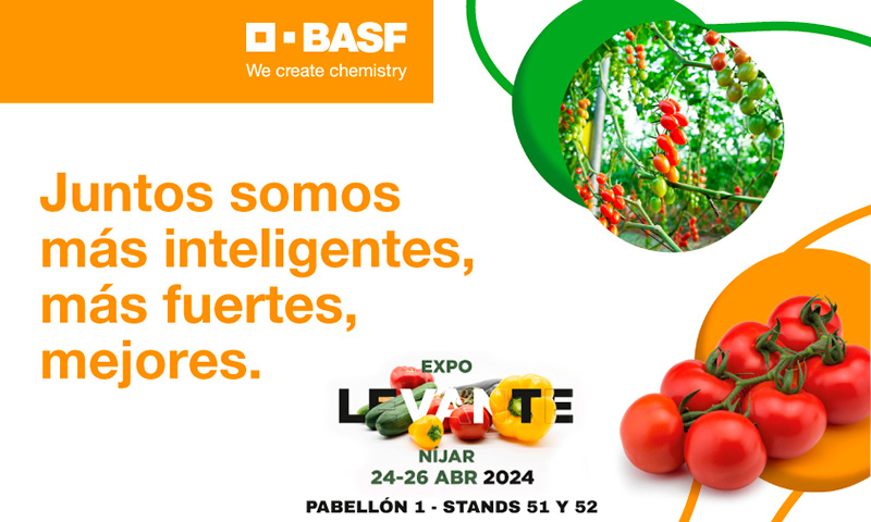 🆕BASF | Nunhems lleva a #Expolevante sus resistencias al virus del rugoso 📝agroautentico.com/2024/04/basf-n… 📌Bajo el lema ‘Conectando contigo’ @BASF_AgroES mostrará su amplia gama de variedades de #tomate resistentes a ToBRFV y sus soluciones de protección de cultivo #Almeria #Níjar