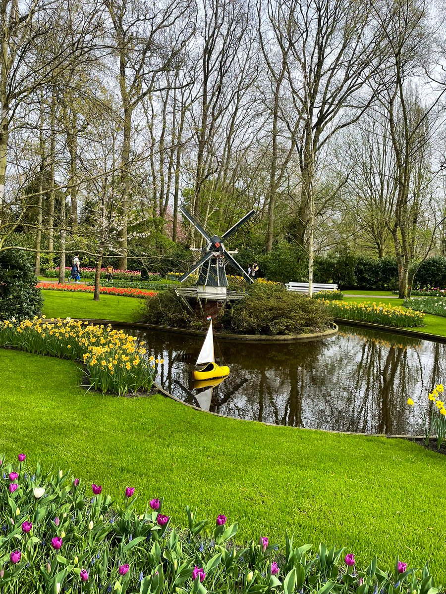 Эбонитовая хромосома (@hazychrome) on Twitter photo 