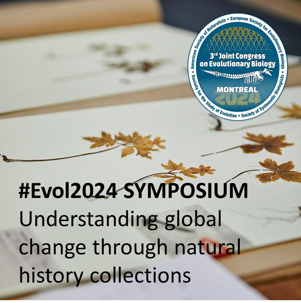 PLEASE RT: @plantricia and I are organizing a symposium on collections-based global change research at #Evol2024. All questions, approaches and taxa. Keynotes: @EmilyMeineke + @robgural. Come and present your research, and join the community (deadline: May 1). @Evol_mtg