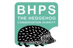 Do you know some children or young people who'd like to get creative & help #hedgehogs? 🦔 Enter our #competition to design a poster for Hedgehog Awareness Week 2024! Find out more 👇 buff.ly/3P889lT