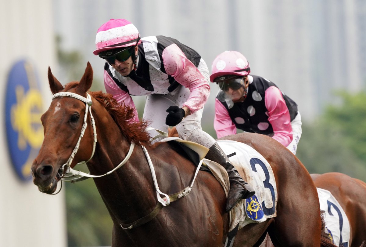 BEAUTY X BEAUTY. ❤️🖤 Joy defeats Eternal to lift the G2 Chairman's Trophy... 🏆 #HKracing