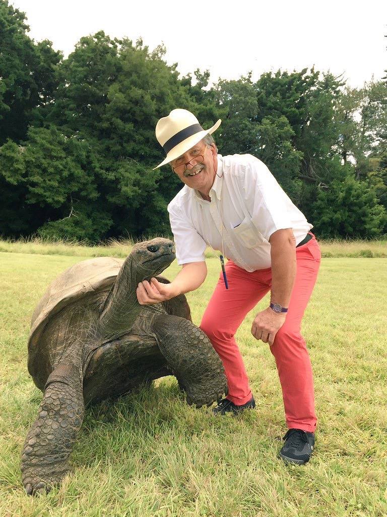 St Helena in Focus tweet media