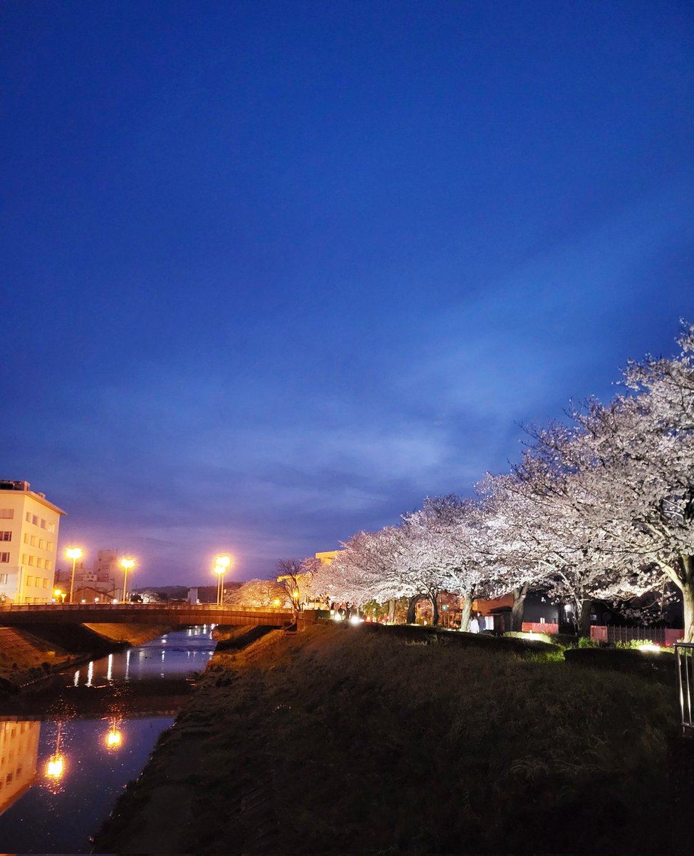 昼と夜のあいだ

この時間の空が好き

 #夜桜ライトアップ
 #日本保守党