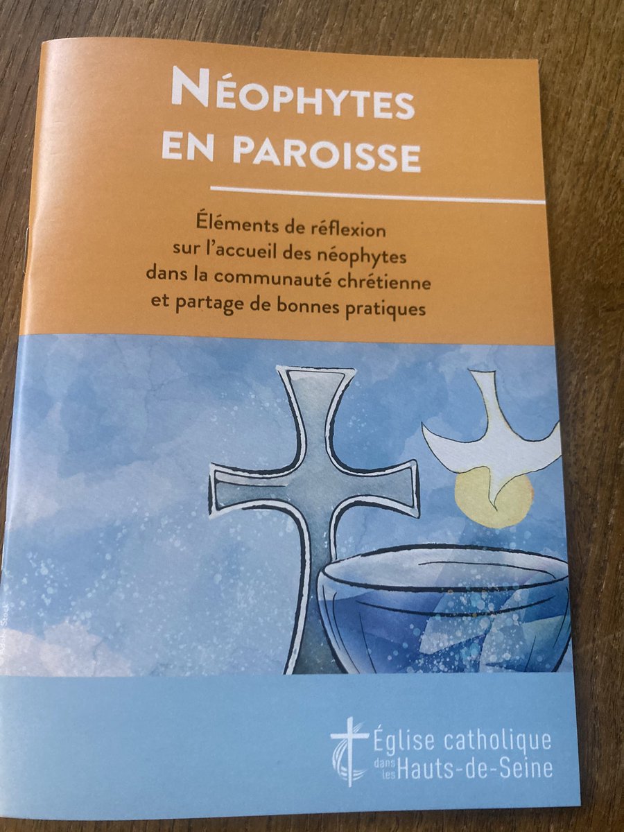PereOlivierJ's tweet photo. #DimancheInAlbis et #néophytes
Merci pour cette réflexion générale et riche en idées à mettre en œuvre sans attendre la Veillée pascale au cours de laquelle les sacrements de l’initiation chrétienne sont célébrés
@92catholique https://t.co/zZrgBTgKc3