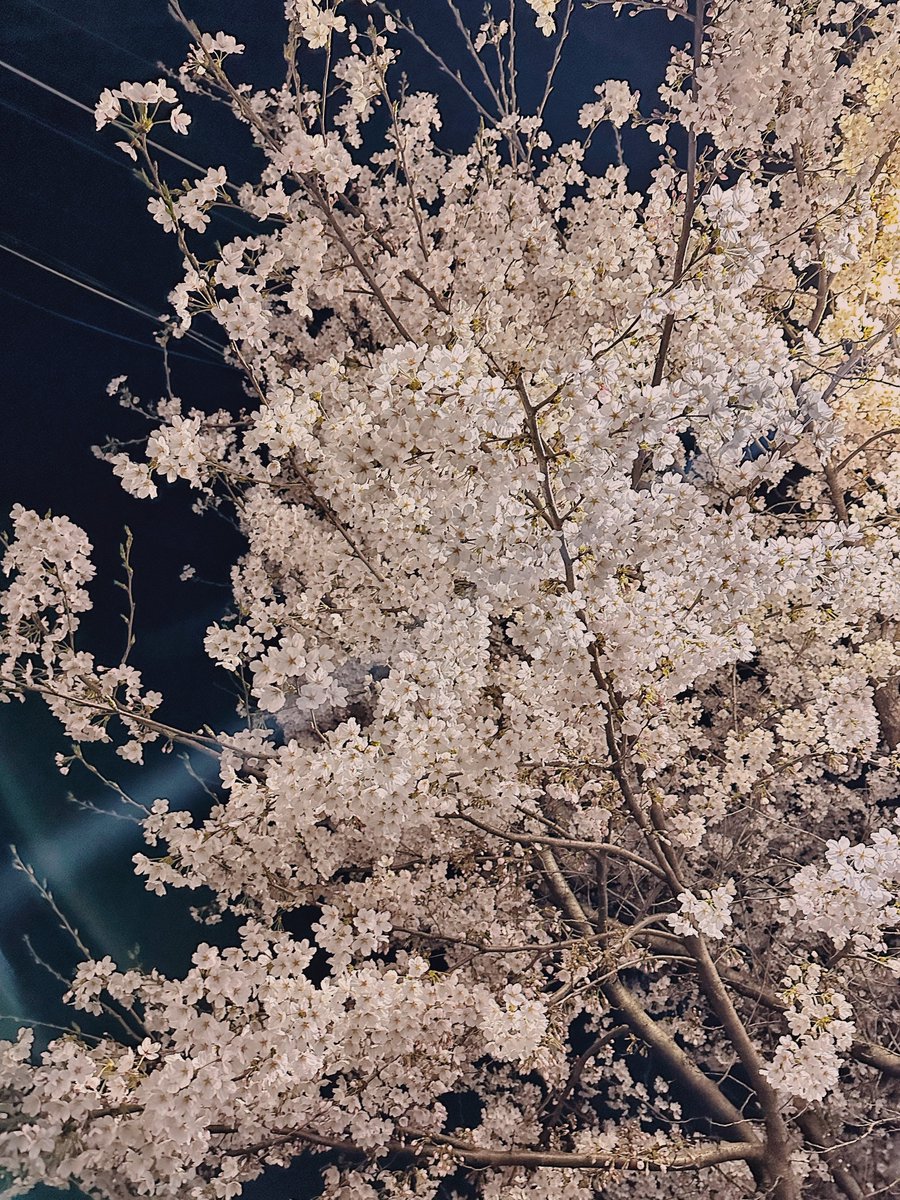 넌 언제봐도 예쁘다.