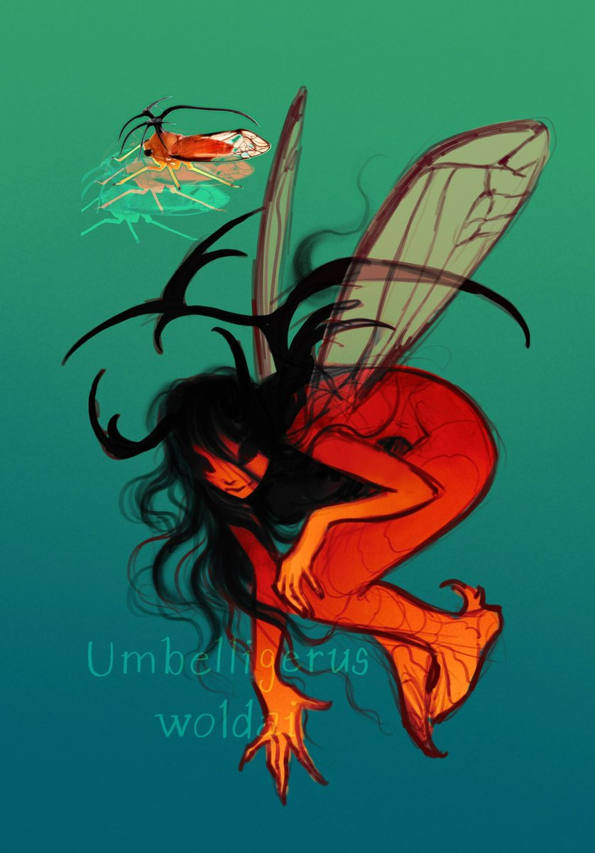 chirpgecko's tweet photo. Haaayyy im baaack, and i bring
⋆ .*𖢥𓆣b u g s 𓆦𖢂*. ⋆
🤲
#bugoc #insectcharacter #characterdesign #insectfurry #furryartist https://t.co/FPIFV2RBPK