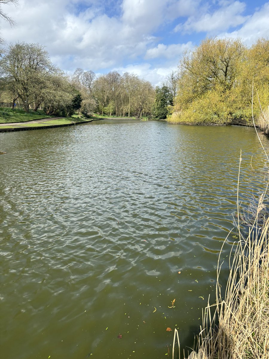Just came down for an hour walking the dog , thought why not bring a rod with me 😉 after ten mins I was in but I lost the fish 😭😖 gutted , hopefully the fish will swim back around 🎣👍🏻 #gettingout #freshair #chilled #fishing