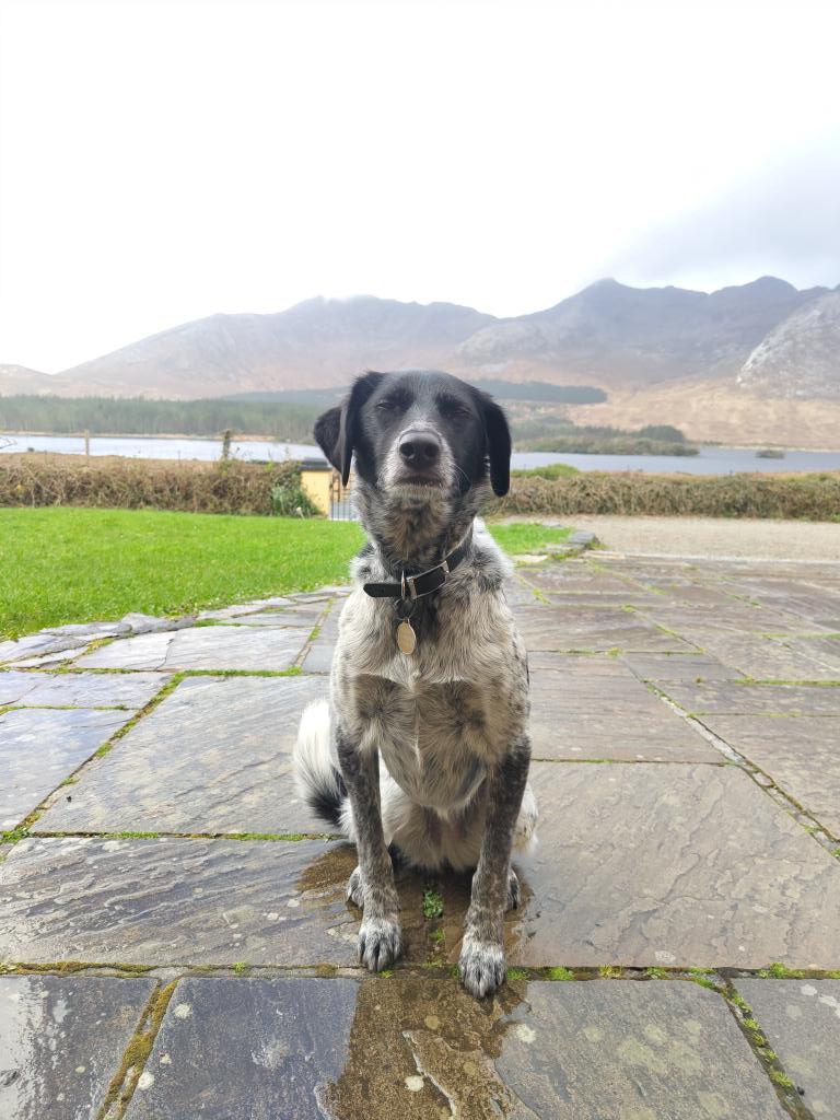 2019 Soupy &amp; 2024 Soupy, Lough Inagh, Connemara.