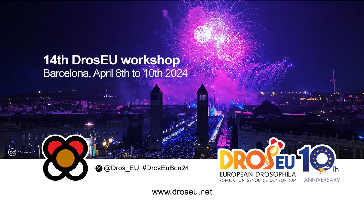 DrosEU members are meeting in Barcelona to celebrate the consortium 10th anniversary! Three days full of science, music and calçots! Welcome to Barcelona! #DrosEU24