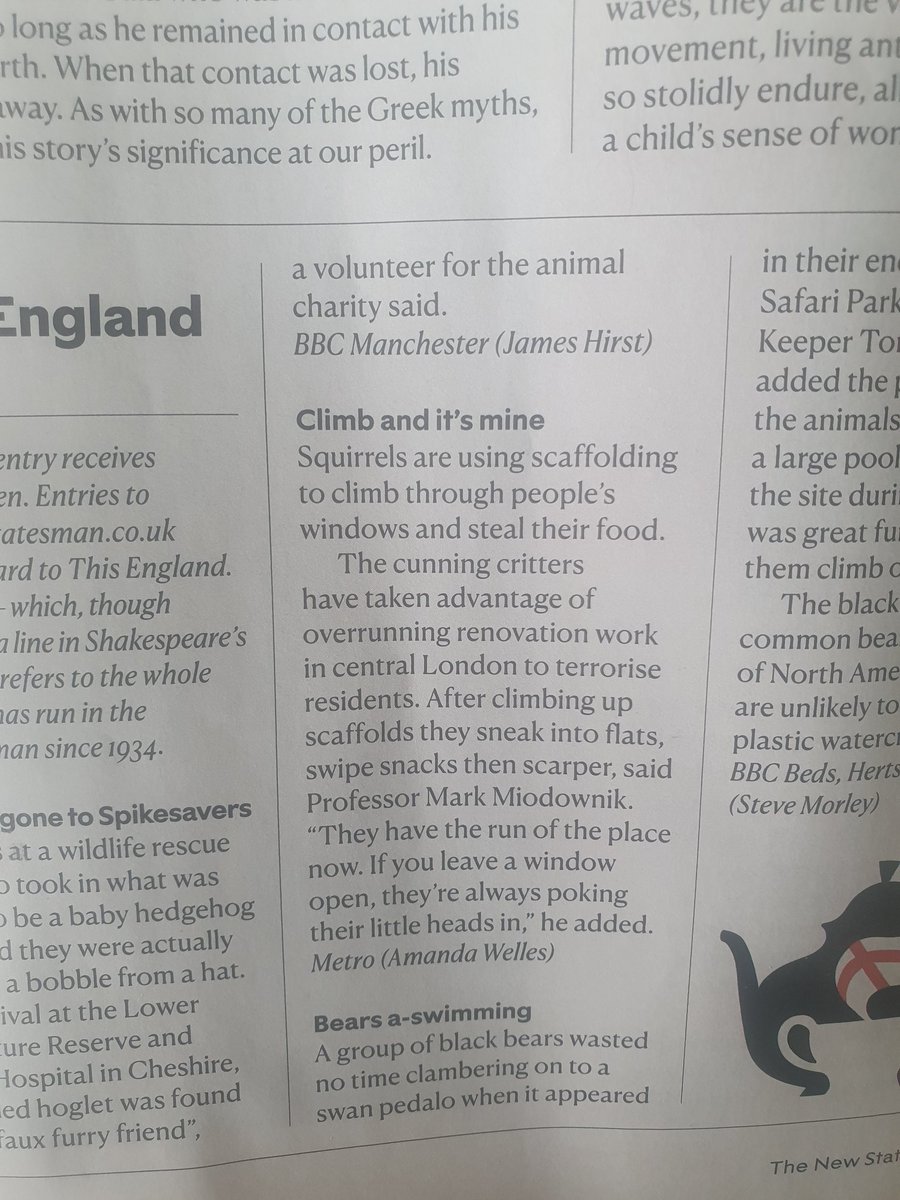 New Statesman running part of a Metro story on squirrels climbing into people's homes, which is itself based on a piece I wrote for MyLondon and LDRS partners. Times and Daily Mail also among the nationals which got in on the act. Not bad for 'local journalism'!