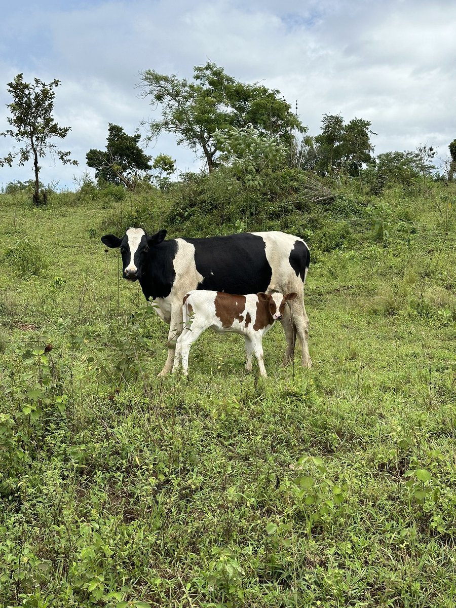 How do you define beauty? 😍😍😍😍