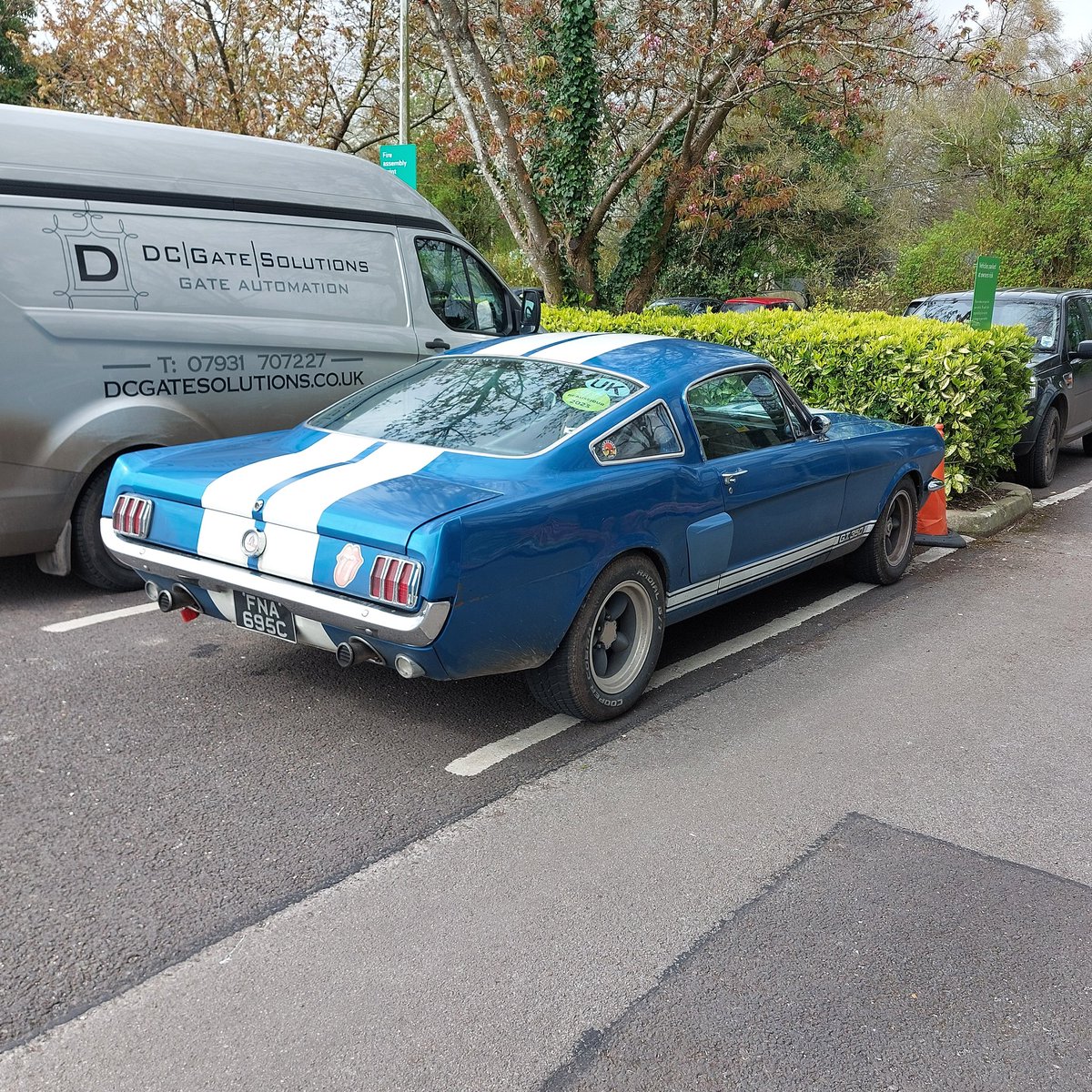 Why wouldn't you take your slightly ratty GT350 to the garden centre on a Sunday? Sounded awesome as it pulled away. Suspect it might be owned by a Lindsay, as they live about 2 miles from here and the condition and motorsports stickers suggest it's very well used.