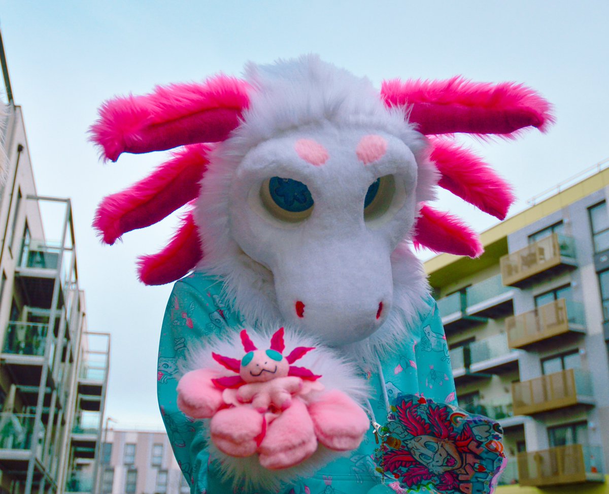 axieaxolotl's tweet image. π Hi, I'm Alex! You can also call me Axie!
β Some sort of queer thing, he/him + it/its
β Bisexual π©·ππ
β Located in the UK π¬π§
β Autistic
β I post about my pet frogs a lot and amphibians in general! πΈ
β Lover of all things rainbow ππ³οΈβπ