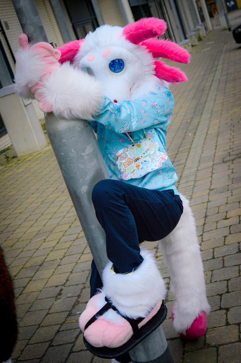 axieaxolotl's tweet image. π Hi, I'm Alex! You can also call me Axie!
β Some sort of queer thing, he/him + it/its
β Bisexual π©·ππ
β Located in the UK π¬π§
β Autistic
β I post about my pet frogs a lot and amphibians in general! πΈ
β Lover of all things rainbow ππ³οΈβπ