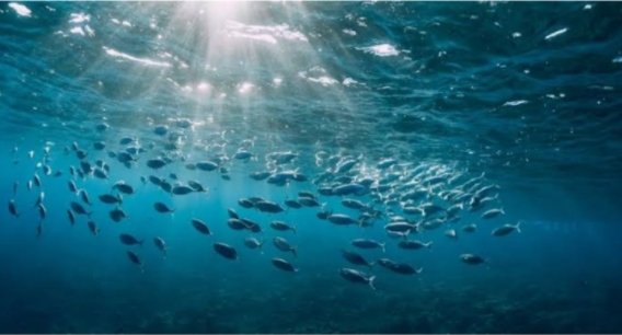 This is the future were searching for🚀🚀🚀🤑🤑🤑
$BUBBLE
$MOJO
$TRIP
$PARAM
$BEYOND
$RICY
$TEMPLE
#AVALand 
#PIXELPIX