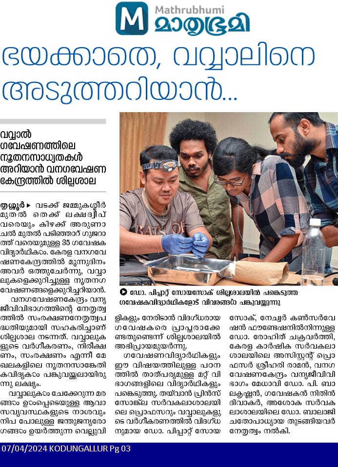 Baheerathan M (@baheerathanm) on Twitter photo 🦇🦇
Always happy to see bats in the good light 😌
Wonderful meeting & glad to be part of such initiatives. Thanks <a href="/batsinghats/">Sreehari R, KAU</a> <a href="/wildlabkfri/">wildlab</a> <a href="/baluperoth/">Balakrishnan Peroth</a> & the entire team for making this happen.
Was a nice opportunity to catch up with <a href="/paintedbat/">Rohit Chakravarty</a> @paru_venugopal after a while 🦇🦇
Always happy to see bats in the good light 😌
Wonderful meeting & glad to be part of such initiatives. Thanks <a href="/batsinghats/">Sreehari R, KAU</a> <a href="/wildlabkfri/">wildlab</a> <a href="/baluperoth/">Balakrishnan Peroth</a> & the entire team for making this happen.
Was a nice opportunity to catch up with <a href="/paintedbat/">Rohit Chakravarty</a> @paru_venugopal after a while