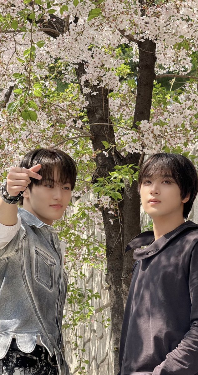 HAECHAN BD .evt tweet media