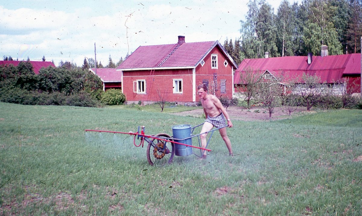 Katselin vanhoja kuvia, ja tuli vastaan tämä #kasvinsuojeluruiskutus kotitilan pellolta. Tällaista se oli 50-60 vuotta sitten Suomessa. Tämä tekniikka yhä käytössä kehittyvissä maissa. Ei suojaimia, tuulikulkeumasta ei välitetty jne. Kehitys kehittyy. Ennen ei ollut paremmin.