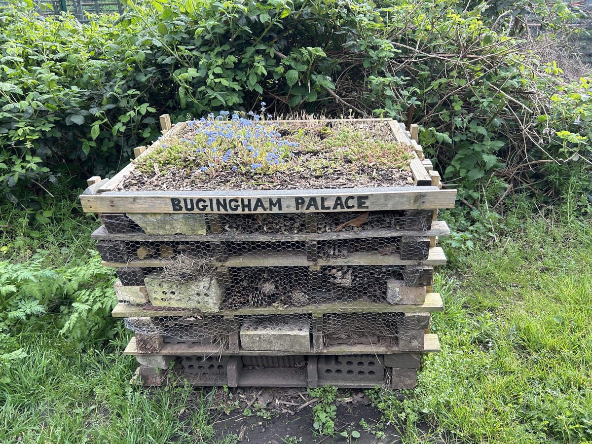 Buginham Palace, East Finchley, London