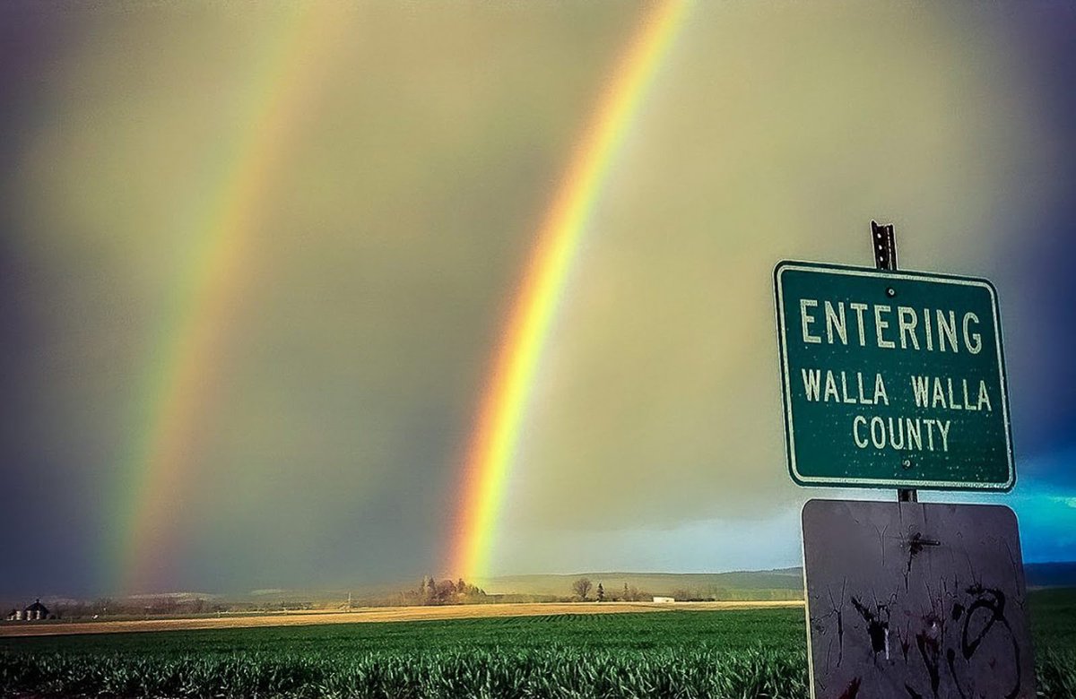 WWValleyWine's tweet photo. It's so nice; it rainbowed twice. 

📷 : Unknown https://t.co/AZtNYP7OaO