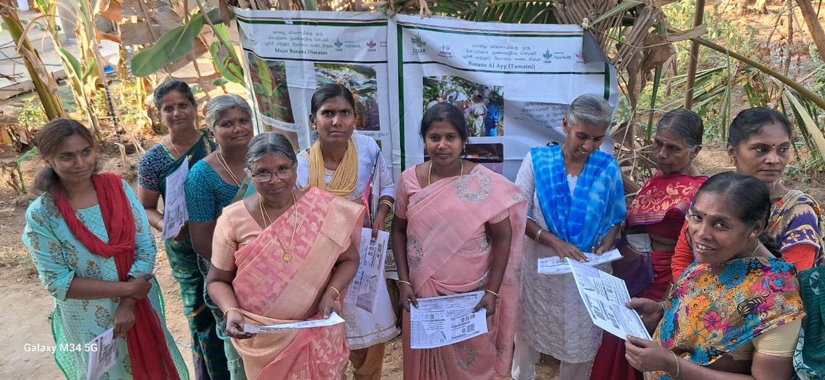 Technology demonstration of Banana AI App (TUMAINI) with female banana farmers of Salem District Tamil Nadu.South India.expalin about Banana disease and management.<a href="/BiovIntCIAT_eng/">Alliance of Bioversity International and CIAT</a> <a href="/CGIARgender/">CGIAR GENDER</a> <a href="/BiovIntCIAT_esp/">Alianza de Bioversity International y el CIAT</a> <a href="/MICHAELSELVARA7/">MICHAEL GOMEZ SELVARAJ - Phenomics Lab</a> <a href="/CGIAR/">CGIAR</a> <a href="/selvarajanrnrcb/">SELVARAJAN RAMASAMY</a> <a href="/IcarNrcb/">ICAR-NRCB</a> <a href="/icarindia/">Indian Council of Agricultural Research.</a>