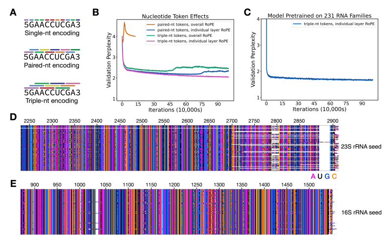 RNA language models predict mutations that improve RNA function
A great work from Jennifer Dounda and Jamie Cate's Lab!
- Use Genome Taxonomy Database (GTDB) to build the GARNET (Gtdb Acquired RNa with Environmental Temperatures) database
- Train a generative GNN model using a…