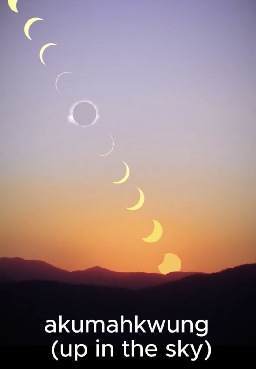 #Eclipse sentences in the #munsee #lunaape language 

niipaahum loowiit sheemung kiishooxkw (moon pass in front of of the sun)

kiishooxkw eenda aashuwooxuweet (when the sun eclipses)

ahkumahkwung (up in the sky)

#swont #onted #indigenouslanguage