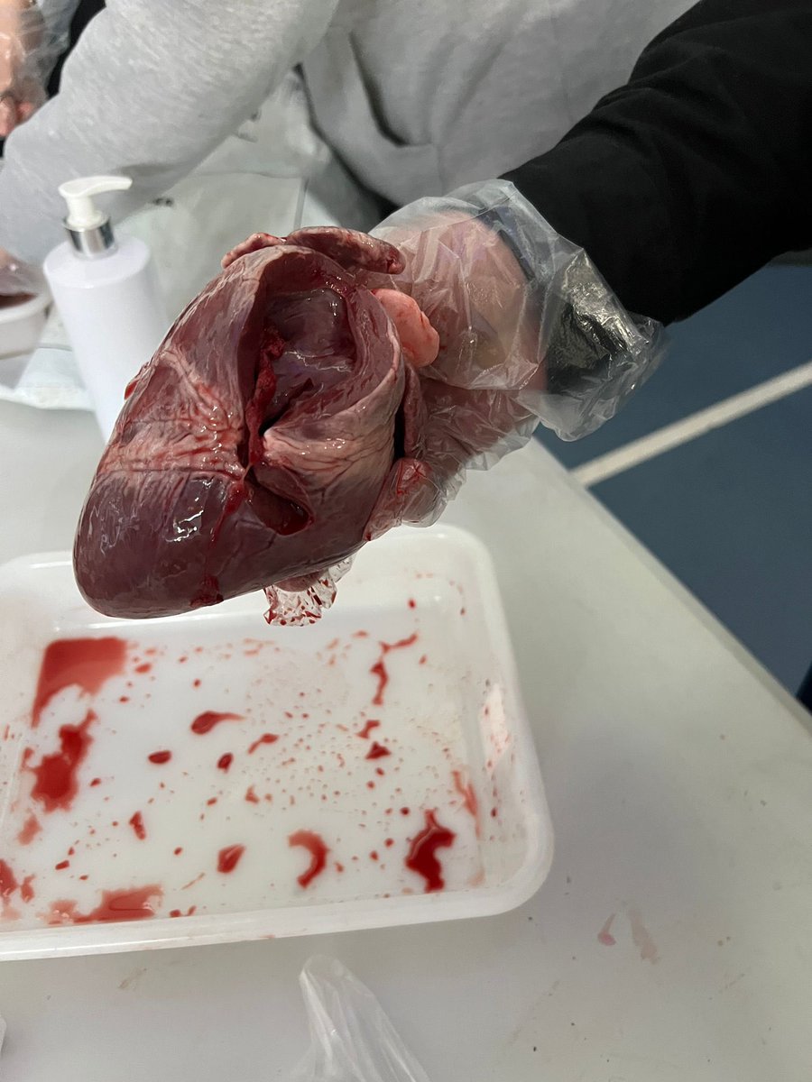 Interesting afternoon out at <a href="/postmortemlive/">thepostmortemlive</a> yesterday. Saw a few new things, learned a few new things, smelled a few new things &amp; cut up a few new things!