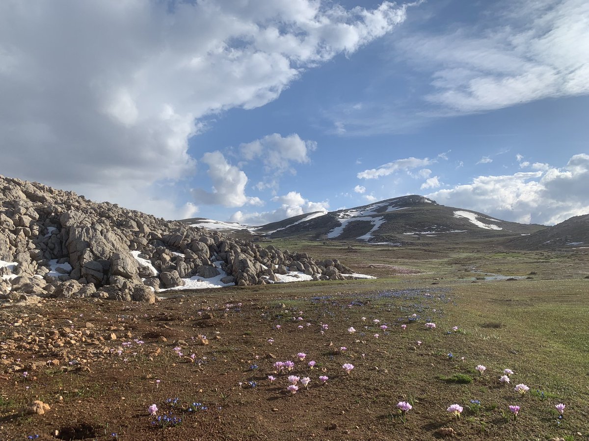 #geologistsday #jeologlargünü 
2000 m yükseklikte bahar 
Spring at an altitude of 2000 m 
#Jura