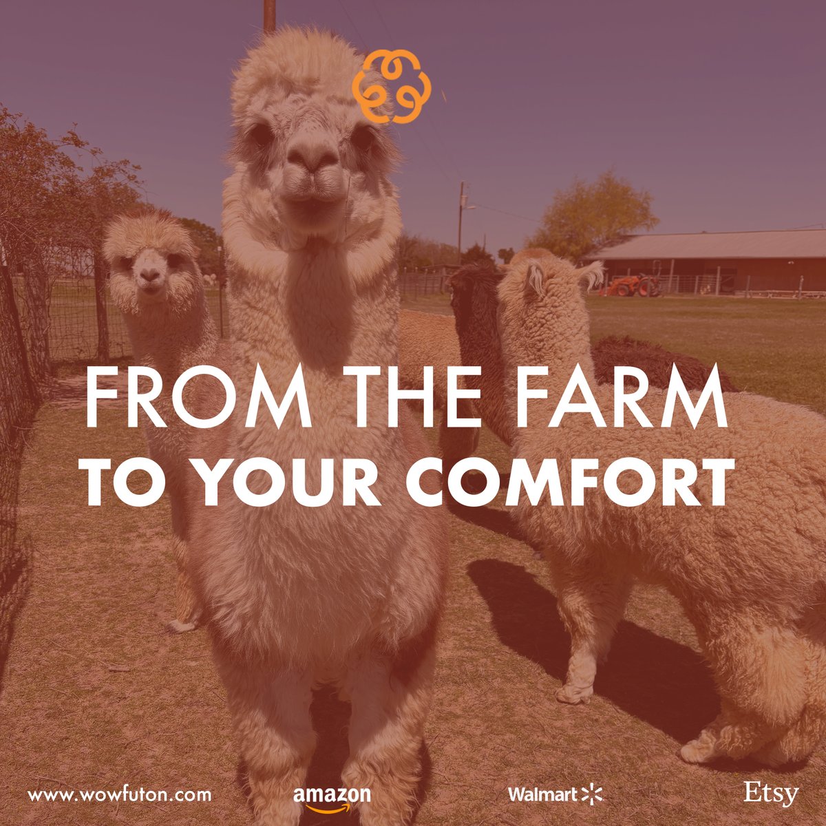 💤 WoW Futon uses premium Alpaca wool fibers in its products, sourced from farms across the country.

✴️ WoW Futon alpaca wool mattress toppers are naturally hypoallergenic, odor and mold resistant, and temperature stabilizing.

#wowfuton
#alpacawool
#alpaca 
#organicbedding