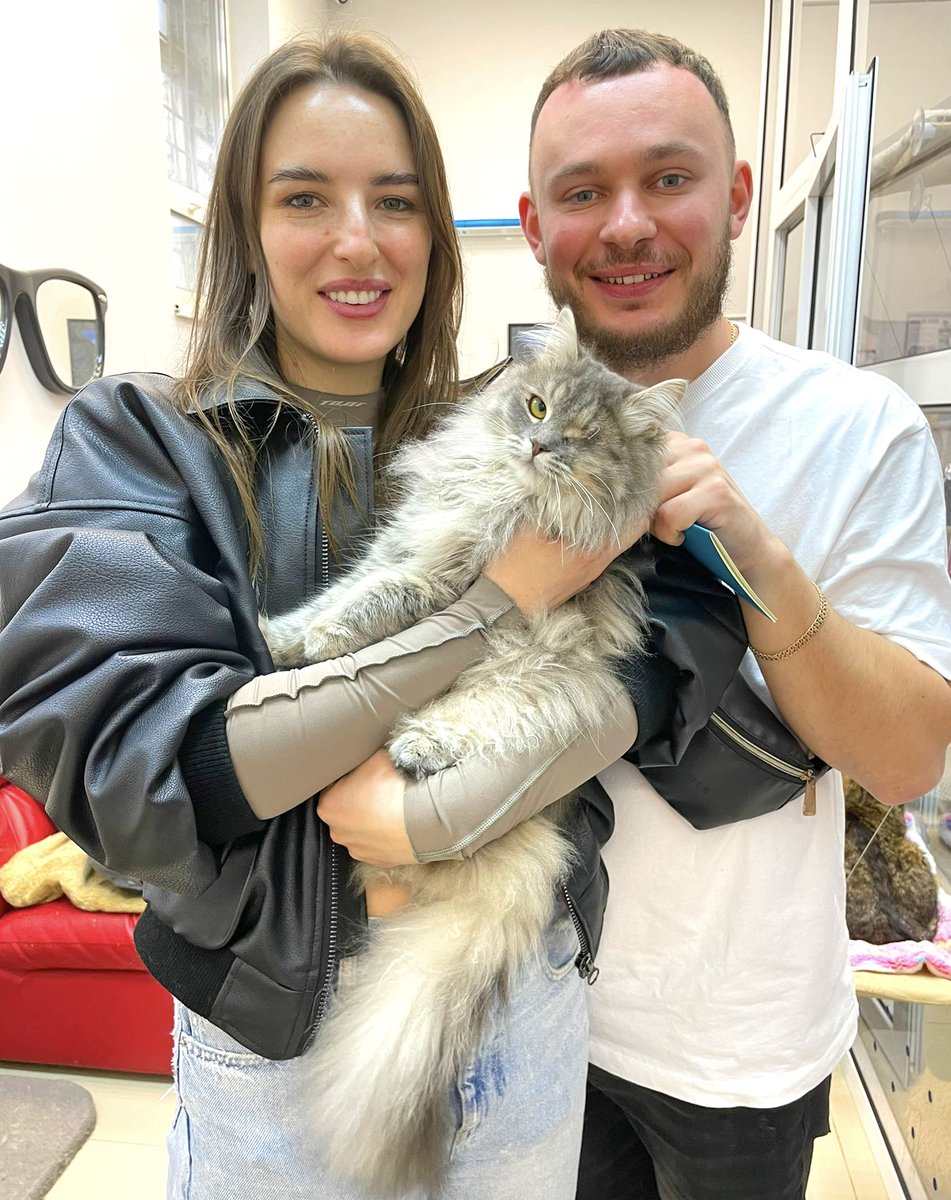 ADOPTED--rescued from a destroyed Ukrainian house, brought to @catsonmars_ua shelter, lost one eye along the way, and now going home with a new family. Thanks Uncle Eugene @eugenehmg, you done good.