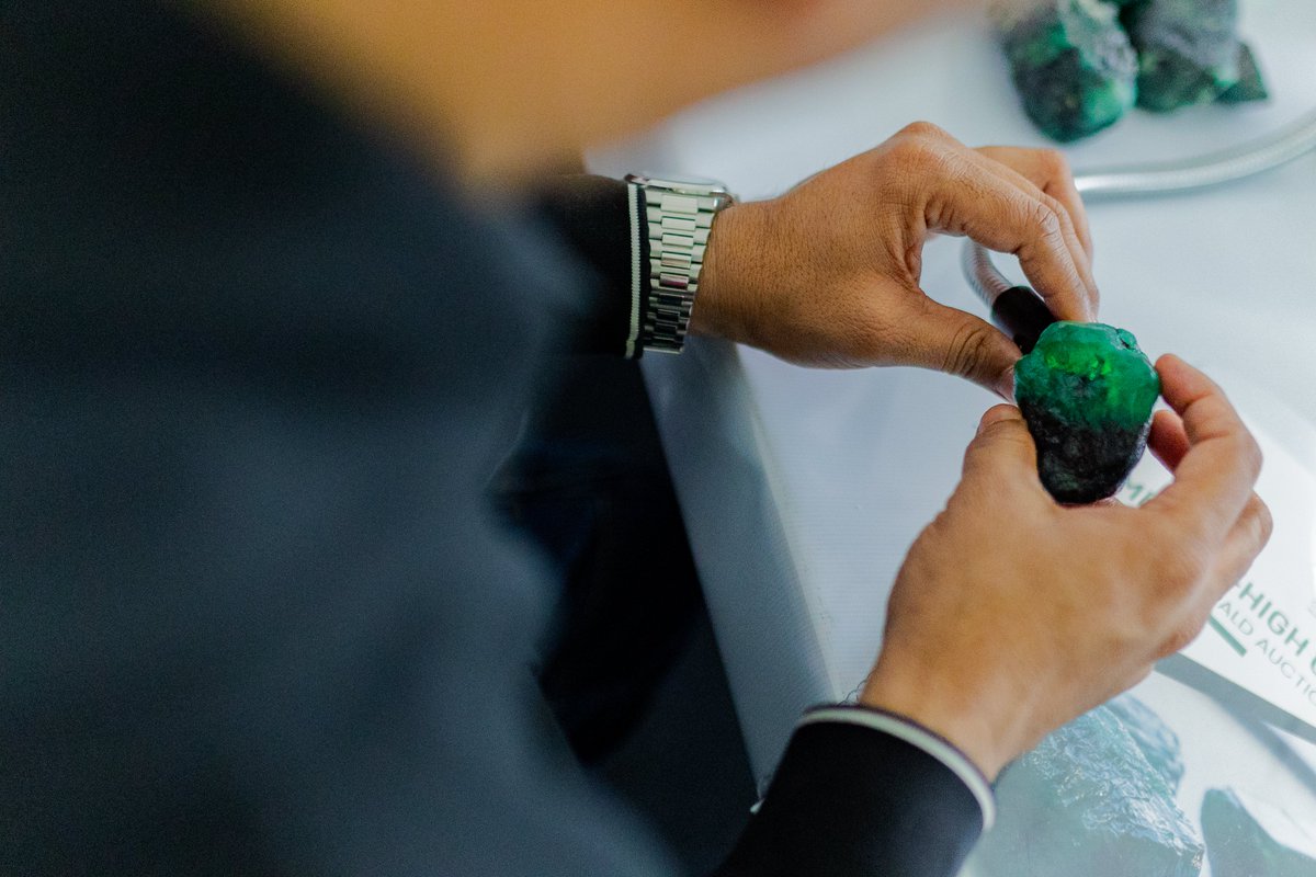 A symphony of greens: Grizzly Mining's emeralds.
#grizzlymining #emeraldcutdiamond #emeraldring #emeraldiewelry #emerald #miners #miningequipment #jewellry #jewellerydesign #emeraldearrings #jewels #emeralds #gemstone #gemstones #gemstonesale