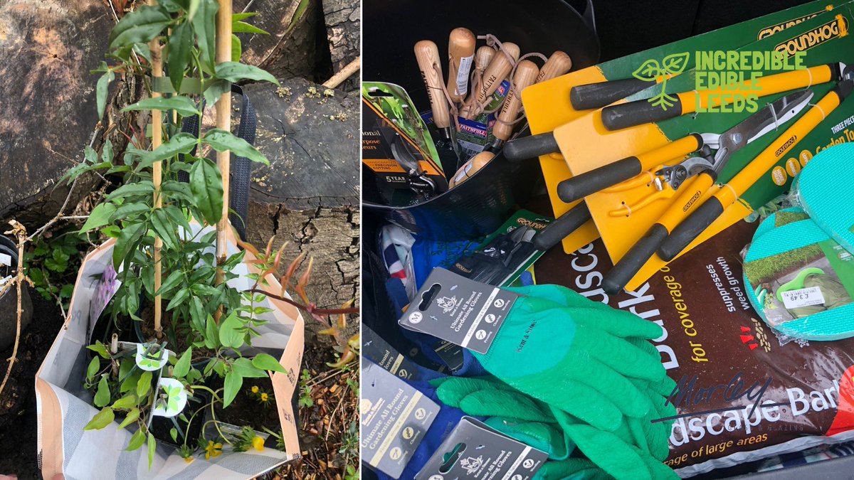 You may remember @MorleyGlassGlaz gave us some funding recently. This weekend we bought some essential growing equipment - gardening gloves, tools, native climbers like jasmine and winter aconites and bark for the @EdibleGarforth Wildflower Area.