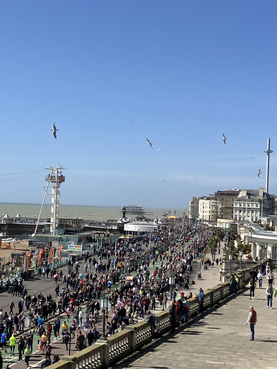 The Prof did well. #BrightonMarathon