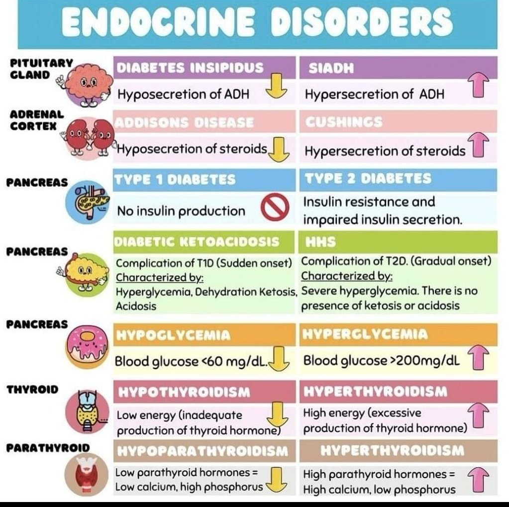 Endocrine disorders Subscribe 👇 youtube.com/@pgmedicine2023