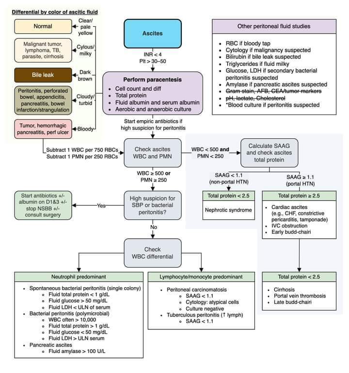 Ascites