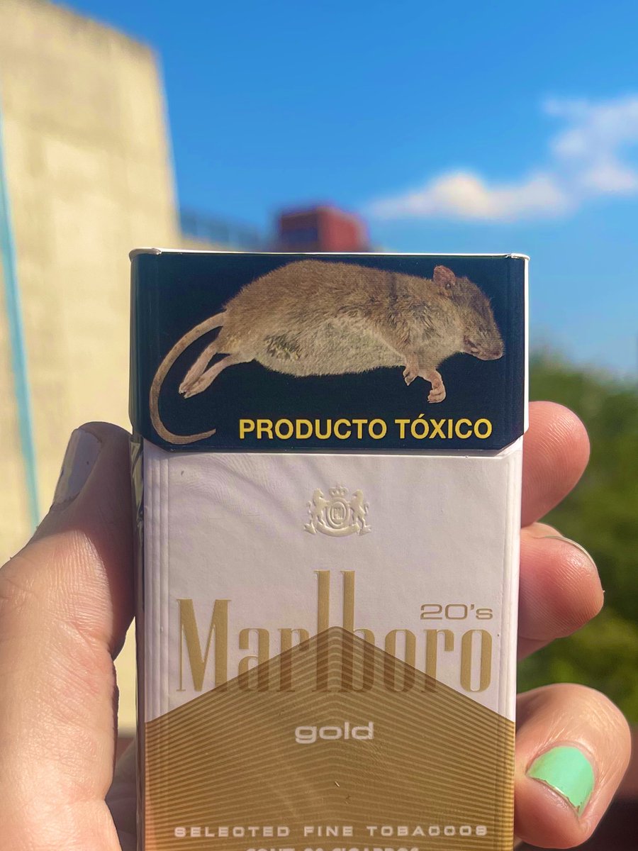 Smoking causes a mouse