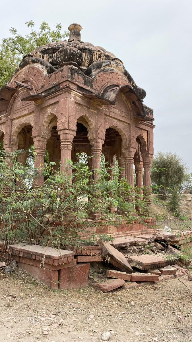 Save Our Heritage Foundation tweet media