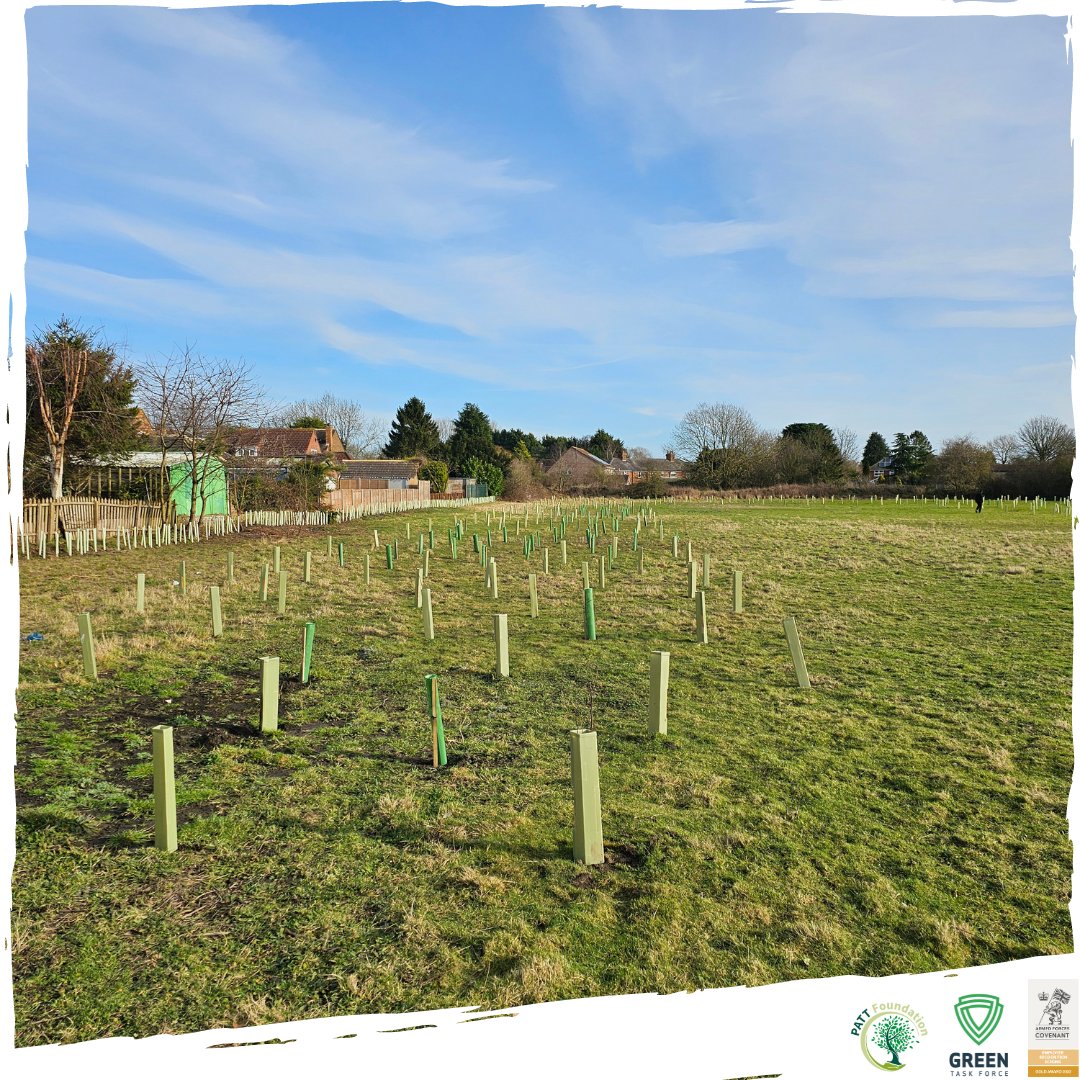 Earlier this year the @Greentaskforce1 and @Patt_Foundation were out in Woodmansey in less than ideal circumstances planting 🌳 805 trees 🌳 640 hedgerow Supported and funded by @HumberForest