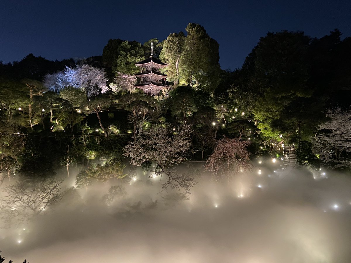 椿山荘庭園 １時間に2回雲海の演出が行われていて幻想的な風景が現れます🌌 #椿山荘庭園　#雲海 #キリトリセカイ