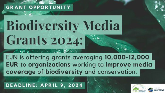 ⏳ Are you a journalist network, media outlet, civil society or academic institution interested in boosting biodiversity coverage? @earthjournalism is seeking proposals for story production, media training, capacity building & more. Apply by April 9. buff.ly/4akH9HD