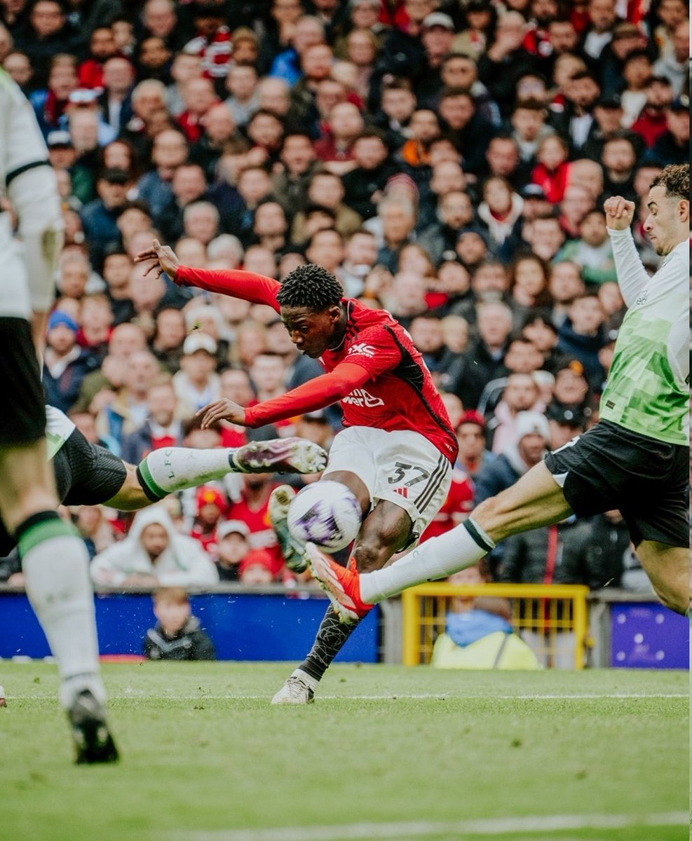 Man United Fan Club tweet media