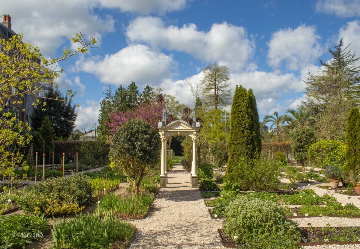 Hortus Botanicus, Leiden.