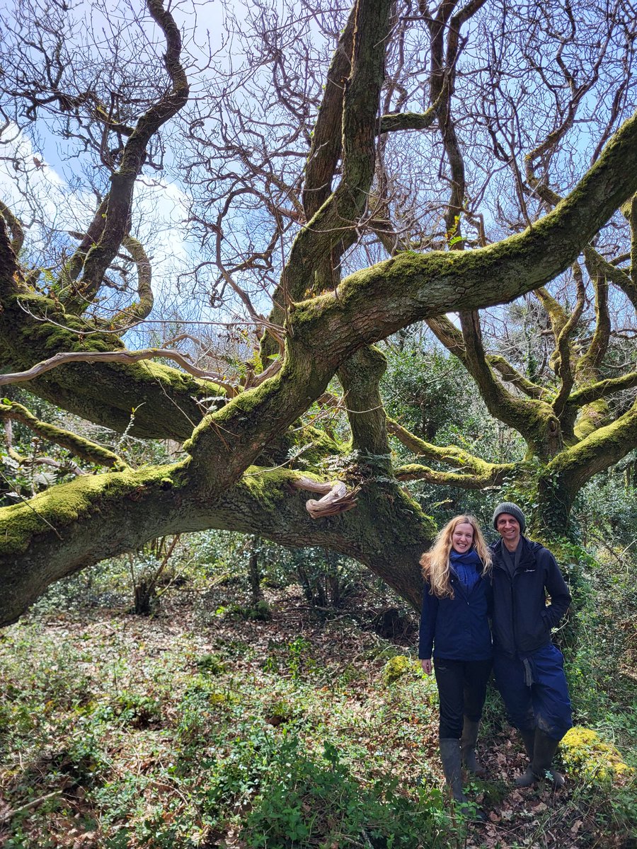 A *total* pleasure to spend the day hanging out in the woods with @guyshrubsole and @LouisaCasson, chewing the fat about temperate rainforests, rewilding, the interweave of ecological and social history, and so much more. A day to remember. 🌍