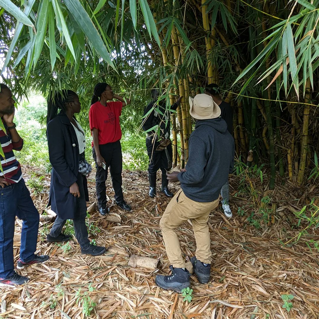Ubunifu_Hub's tweet photo. Highlight of the week 🚨: We Conducted Monitoring and Evaluation at @NajimuduEI on Thursday. 

We visited the @MountKenyaUni Botanical Garden to assess the progress on trees they planted last year and later followed by a discussion on how we can support their initiative. https://t.co/R9R9XD4RGO