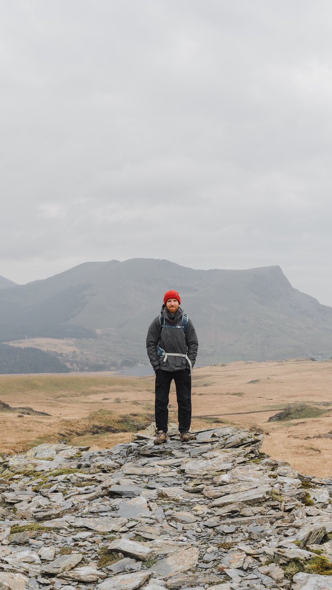 Chris Harvey tweet media