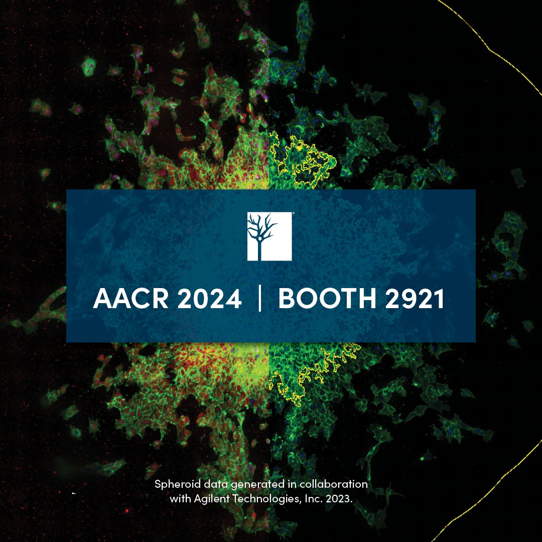Stop by our joint poster session with <a href="/Agilent/">Agilent Technologies</a> and Dr. Tony Wood from CST at #AACR24: Quantitative Evaluation of Biomarkers for TGF-β-Induced Epithelial-Mesenchymal Transition in Biochemical, Cellular, and 3D Spheroid Model Systems.

🗓️ Sunday, April 7, 1:30-5 PM
📍 Poster