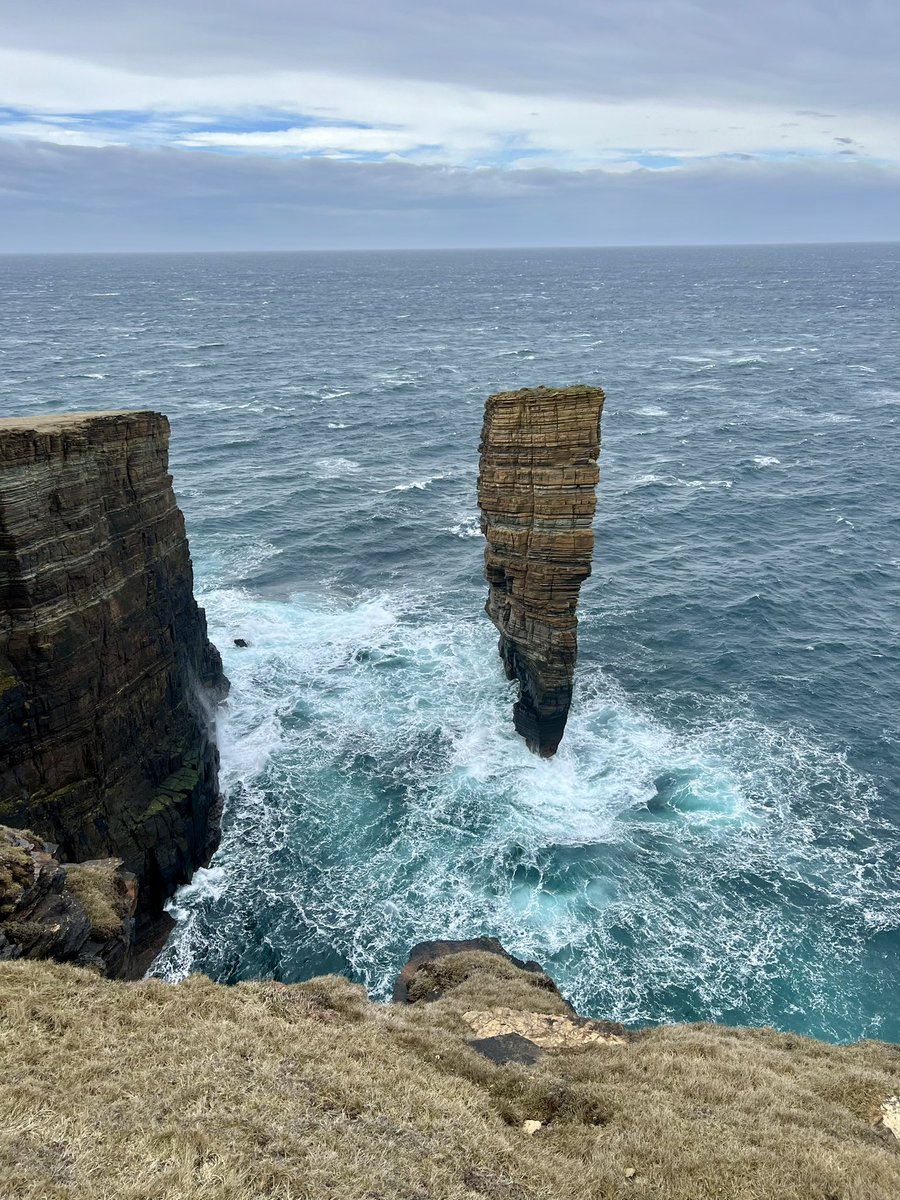 Rob Flett tweet media