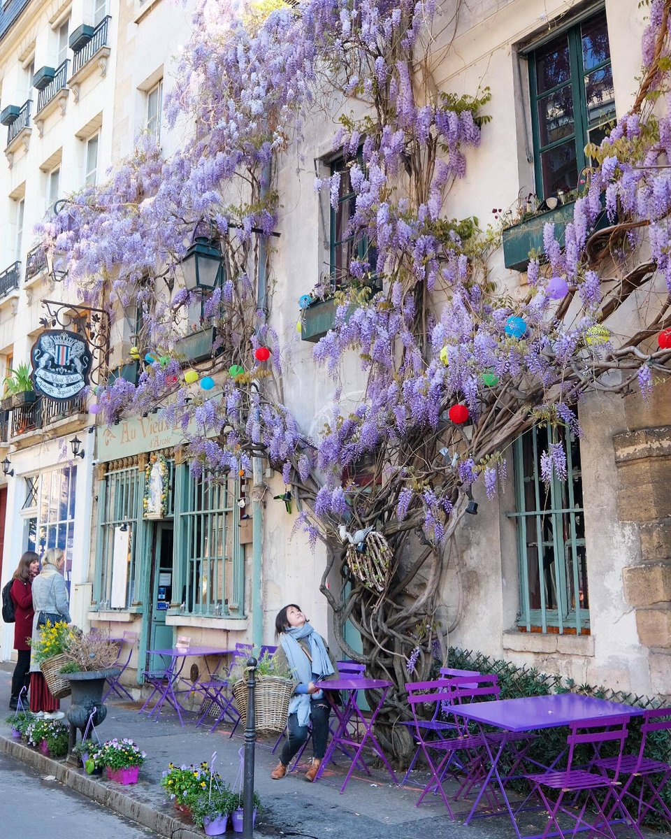 Paris 💜 📸 ©douceur_a_paris #visitparisregion #explorefrance